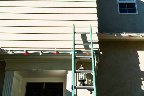 Best Steel Siding Installation  in South Elgin, IL