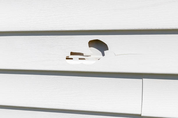 Best Storm Damage Siding Repair  in South Elgin, IL