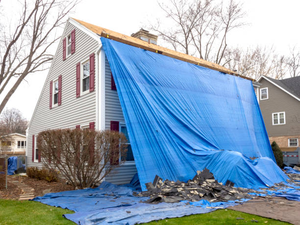 Best Siding Removal and Disposal  in South Elgin, IL